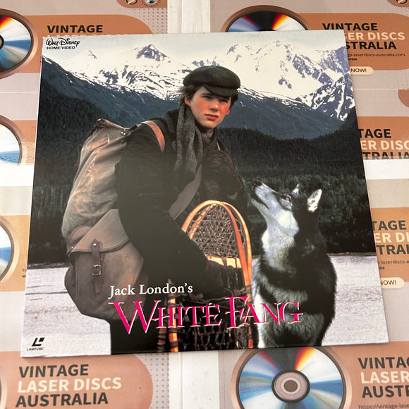 White Fang ( Disney ) PILF-1680 ( 0781 )