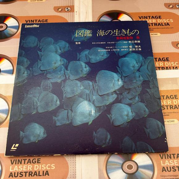 Life in the Sea SS002-41LD ( 0828 )