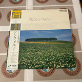Flower Symphony 68C59-6231 ( W0045 )