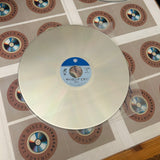 Surviving Picasso PILF-2368 ( W0174 )