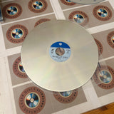 Surviving Picasso PILF-2368 ( W0174 )