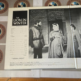 The Lion in Winter FY549-36MA ( W0211 )