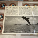 The Big Blue SF093-1602 ( W0214 )