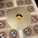 Chisato Moritaka Live Rock Alive WPLL-8152 ( W0251 )