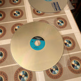 Terminator 2 Judgement Day PILF-1376 ( W0257 )