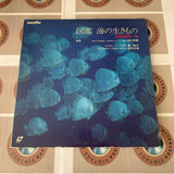 Life in the Sea SS002-41LD ( W0284 )