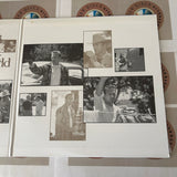 A Perfect World NJWL-12990 ( W0320 )