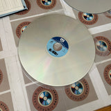 Cry Freedom PILF-1124 ( W0327 )
