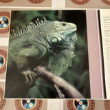 Encyclopedia of Animals Volume 06 : Reptiles and Amphibians SS098-6045 ( W0375 )