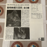 Encyclopedia of Animals Volume 06 : Reptiles and Amphibians SS098-6045 ( W0375 )