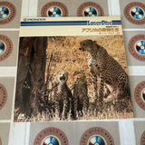 A Day of Savannah DA002-21NH ( W0445 )