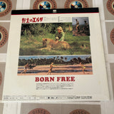 Born Free PILF-7220 ( W0498 )