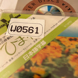 Sunflower FY044-24HD ( W0561 )