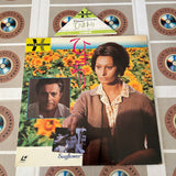 Sunflower FY044-24HD ( W0561 )