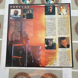 Terminator 2 Judgement Day PILF-1376 ( W0637 )