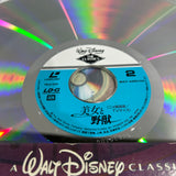 Disney : Beauty and the Beast PILA-1231 ( W0800 )