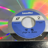 Pepe Le Moko FY038-24DT ( W0792 )