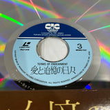 Terms of Endearment PILF-1416 ( W0782 )