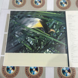 Encyclopedia of Animals Volume 05 - Birds 2 SS098-6044 ( W0863 )