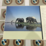 Encyclopedia of Animals Volume 02 - Mammals 2 SS098-6041 ( W0865 )