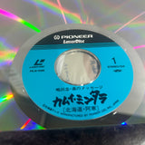 Kamui Mintara PILW-1096 ( W0880 )