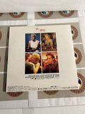 Basic Instinct PILF-1549 ( W1043 )