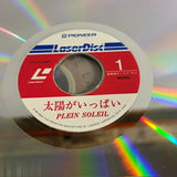Plein Soleil FY029-24DT ( W1092 )