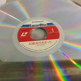 L'Eclipse FY023-34DT ( W1115 )