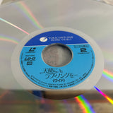 Sister Act PILF-1703 ( W1132 )